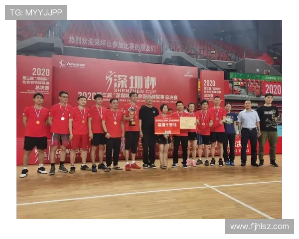 南京羽毛球队与深圳羽毛球队实力对比赛后分析与总结