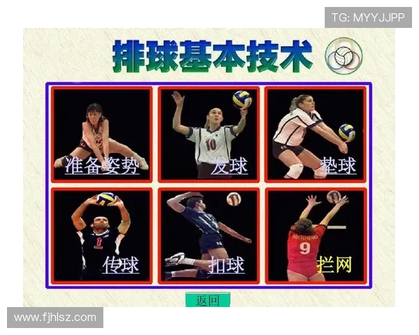 杭州排球队反击战术解析与深度剖析排球竞技的魅力与挑战